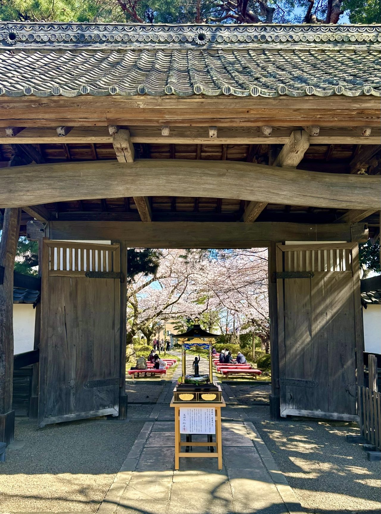 花まつりの日の寺の門と桜（昼）