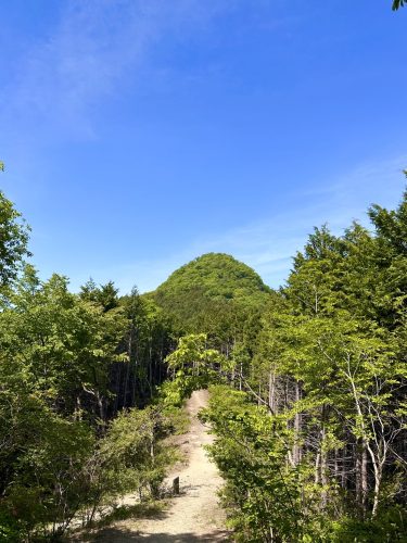 仙台市 太白山 新緑の登山道と青空の風景