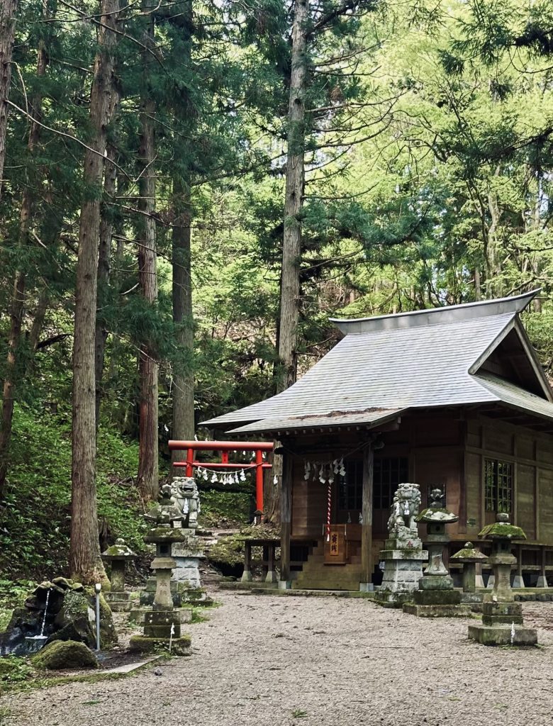新緑の奥の神社