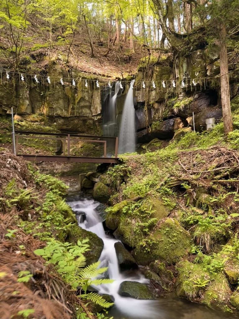 新緑の奥の風景